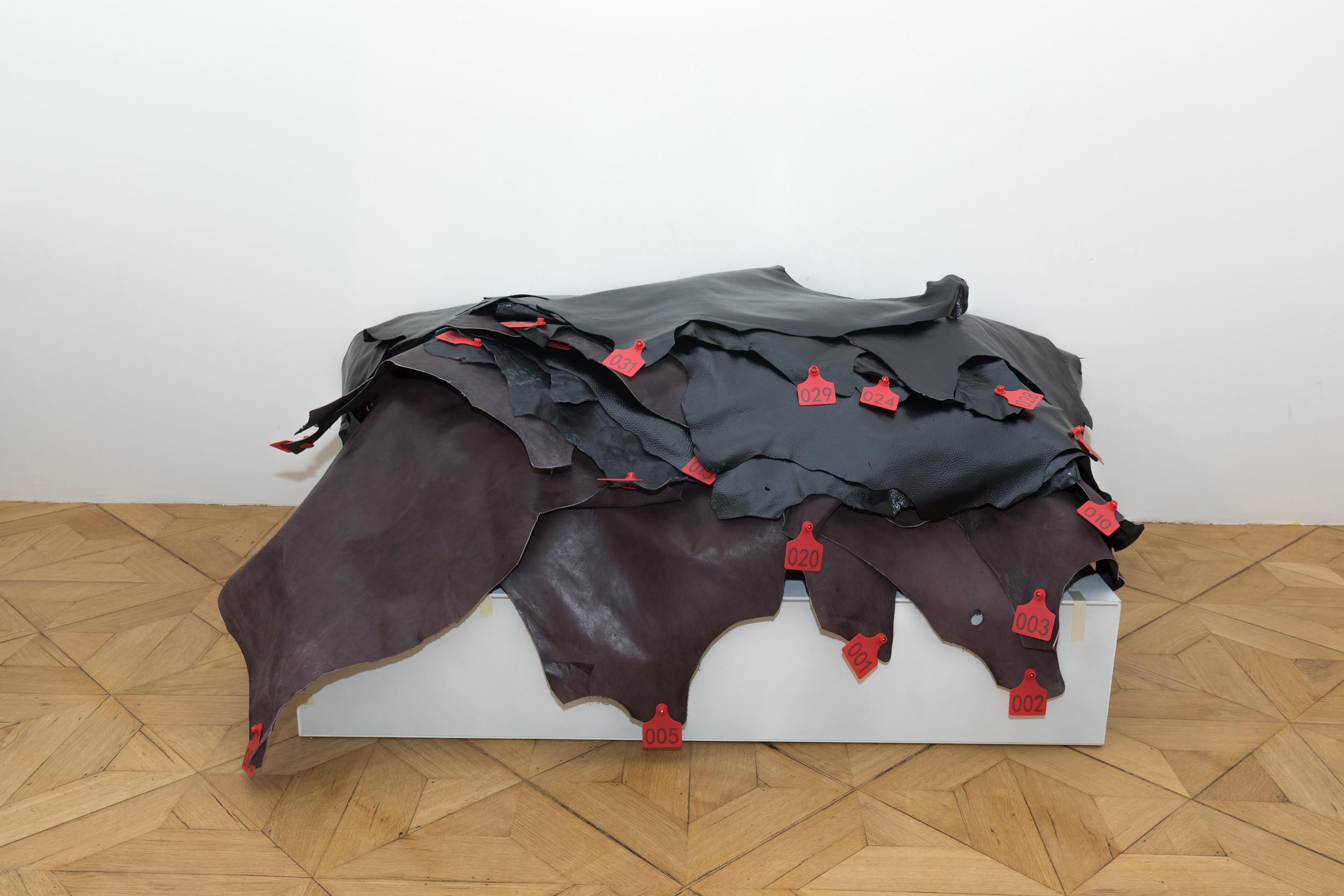 Raw Potential - Anthony Olubunmi Akinbola 