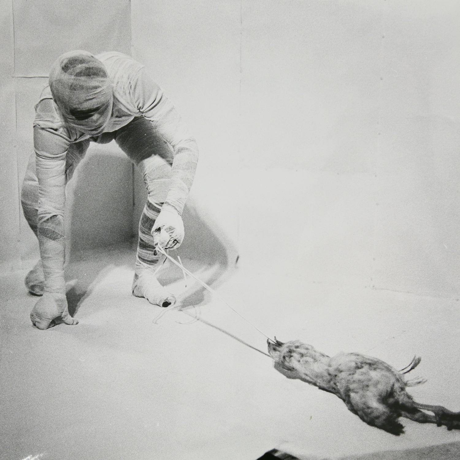 6. Aktion - Rudolf Schwarzkogler 