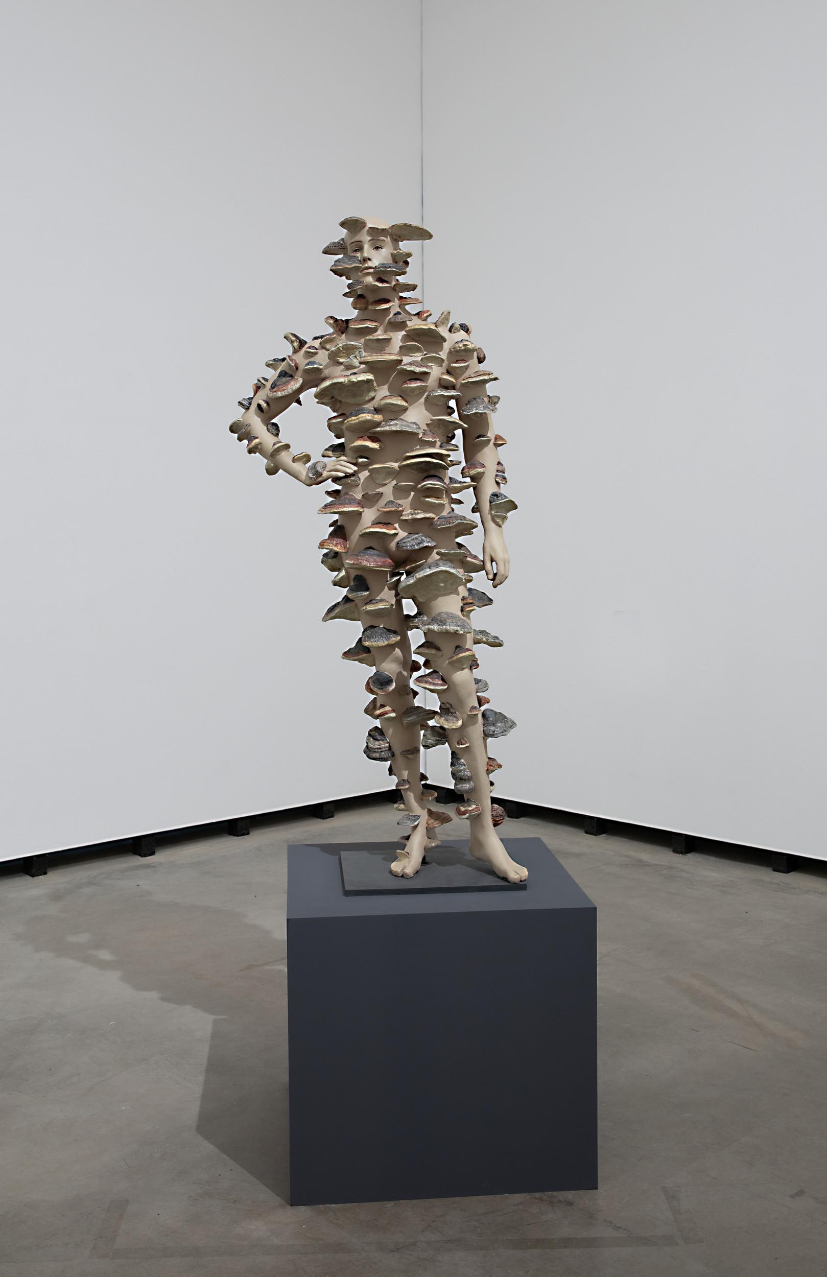 Invasion - Lois Weinberger 