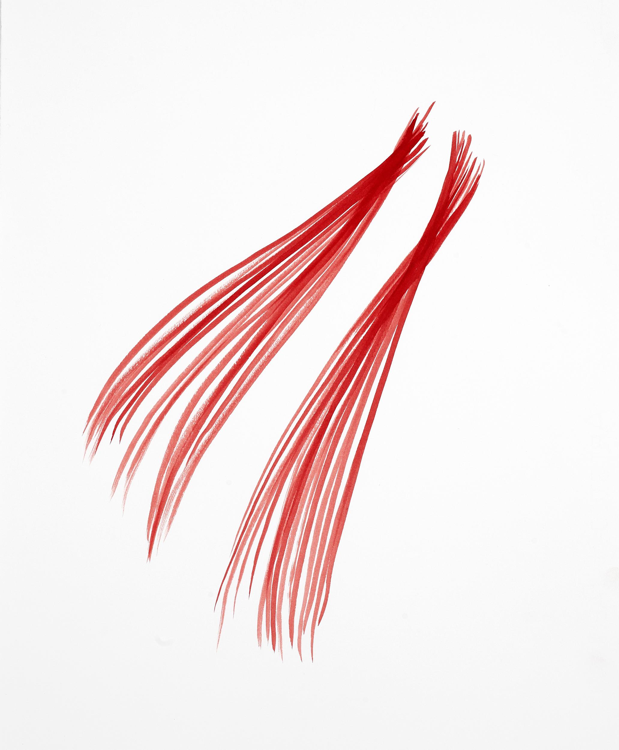 o.T. - Ulrike Lienbacher 