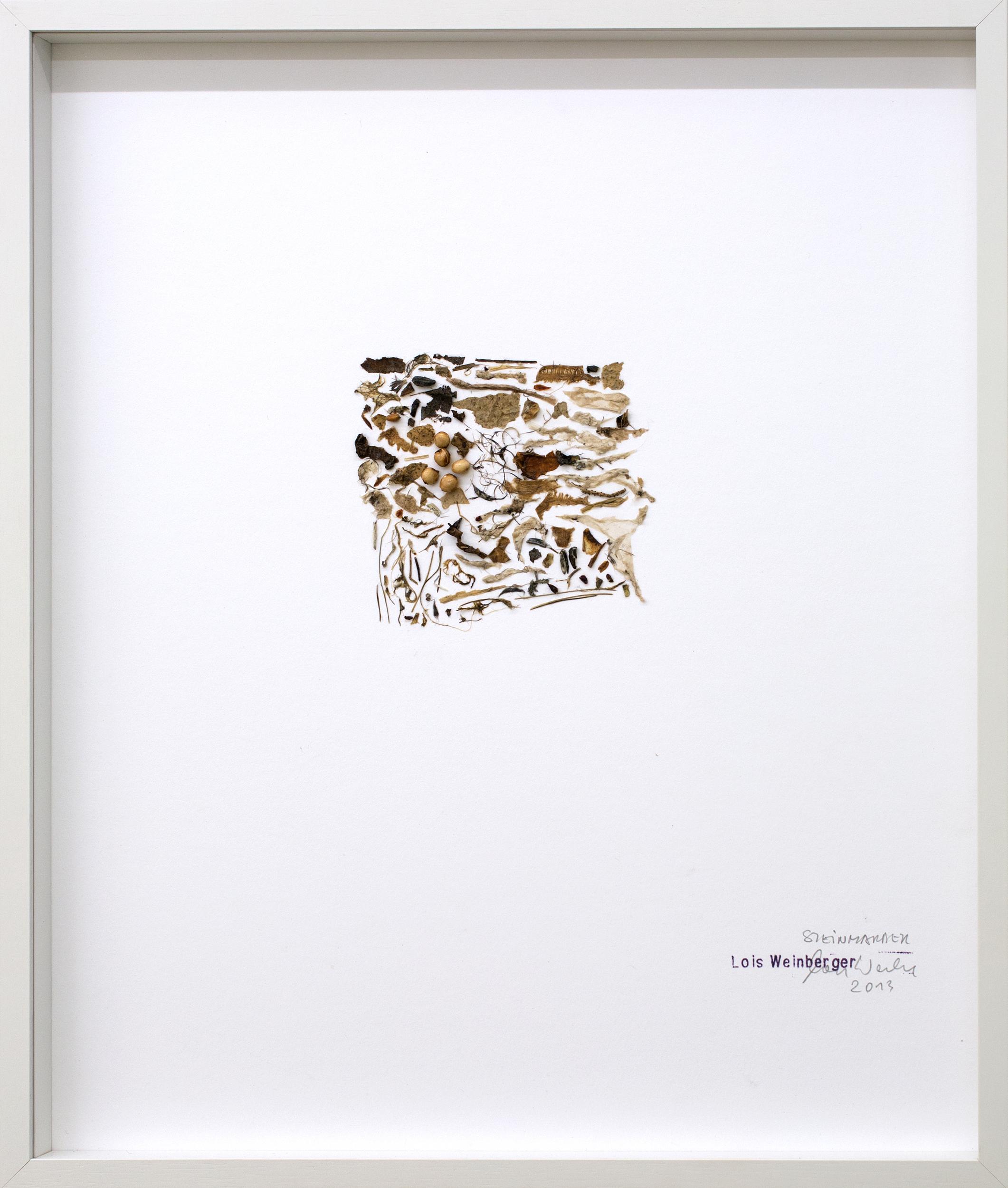 Steinmarder - Lois Weinberger 