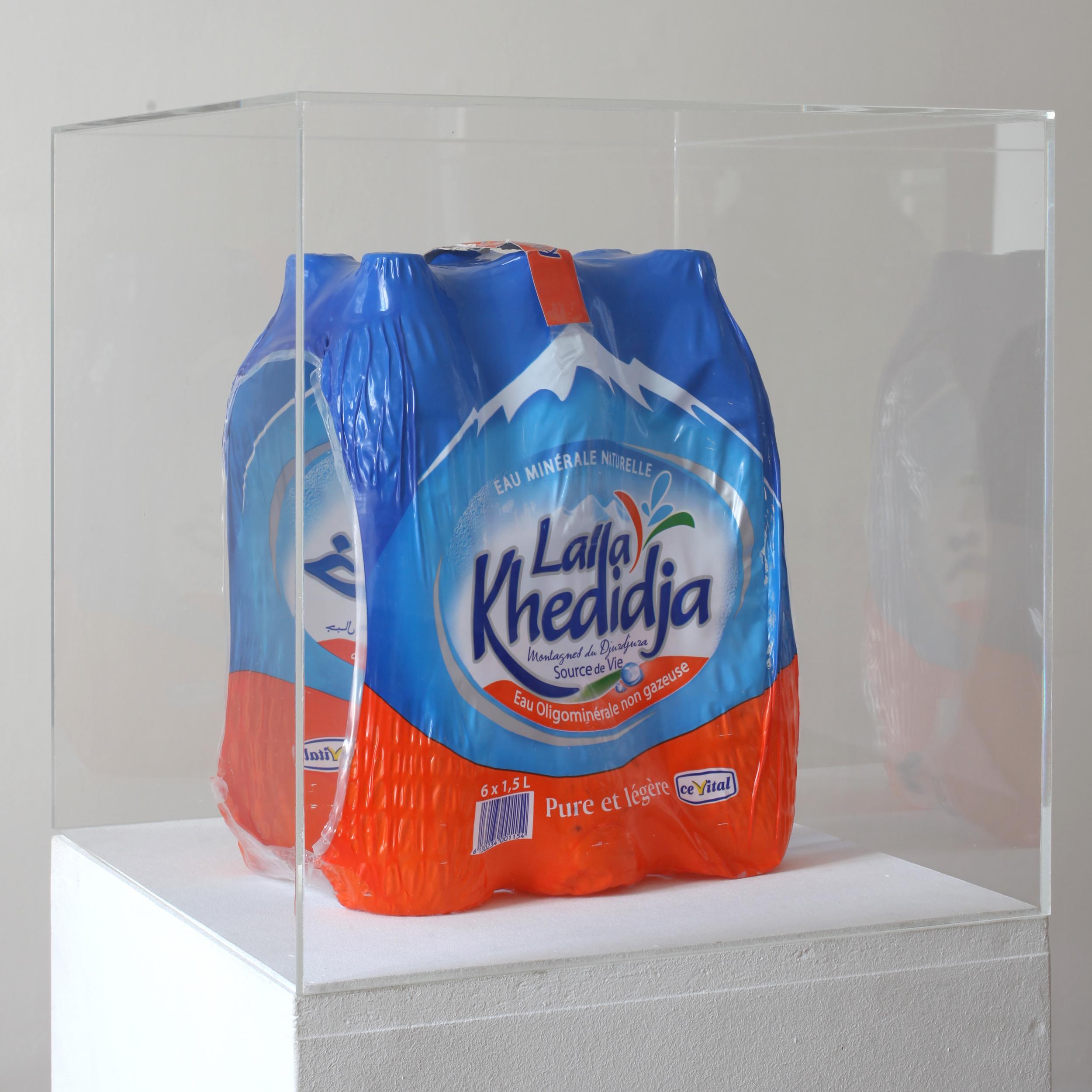 Untitled (No Water) - Kader Attia 