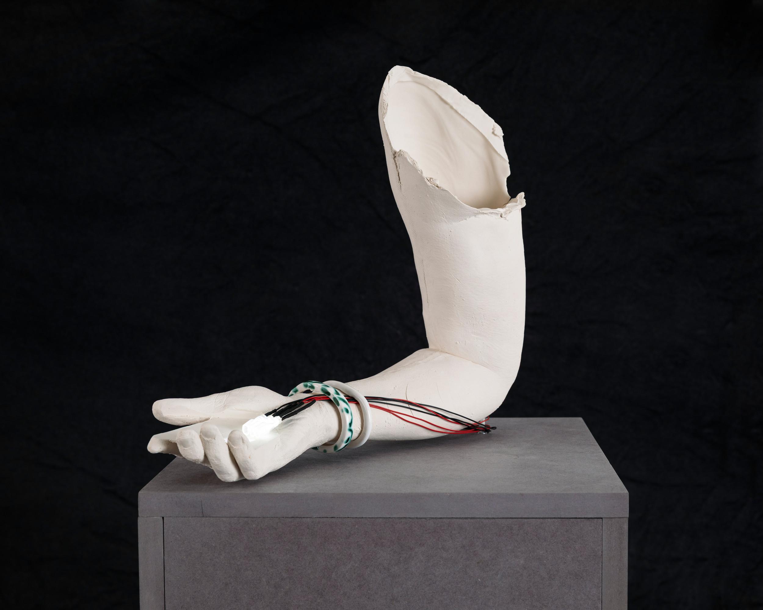 Smart Arm i5.0/ 1-6 - Rosmarie Lukasser 