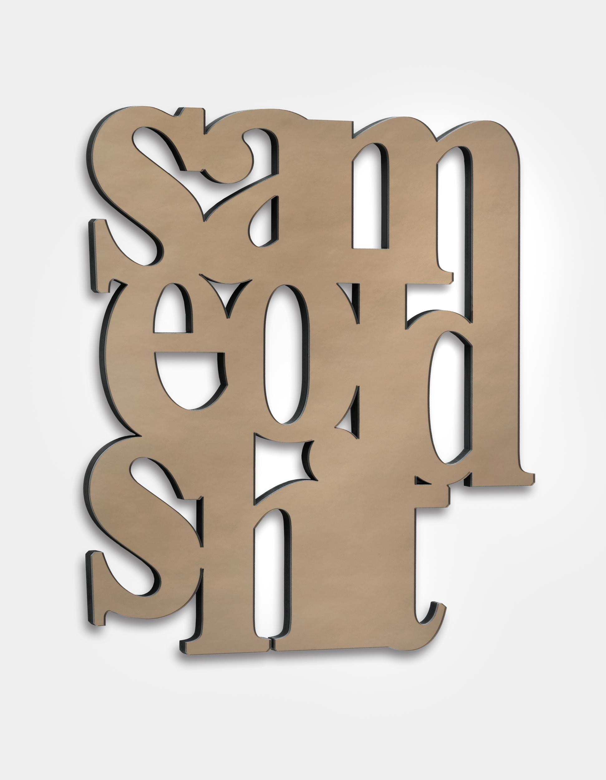 Same Old Shit - Monica Bonvicini 