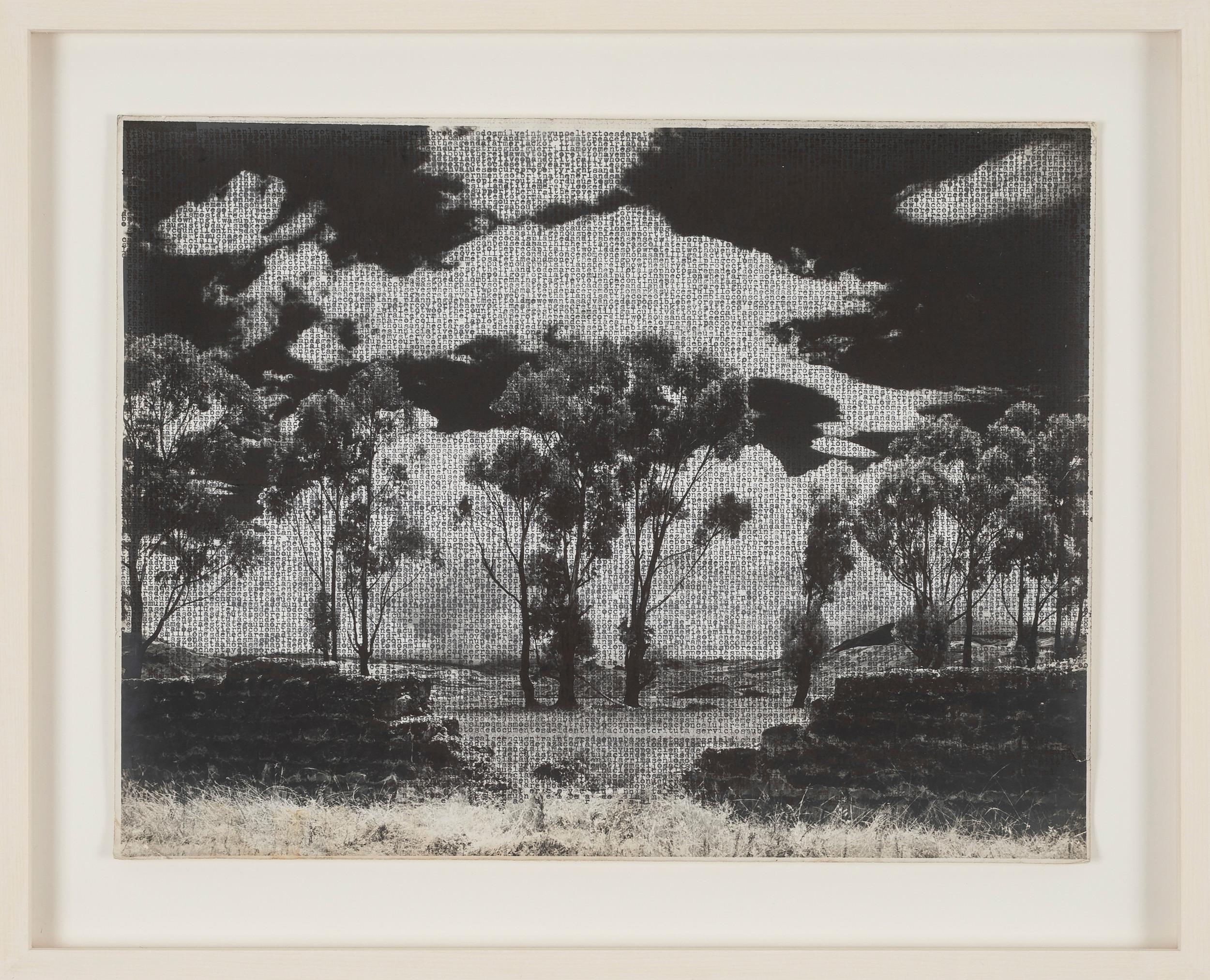 Paisaje sabanero - Johanna Calle 