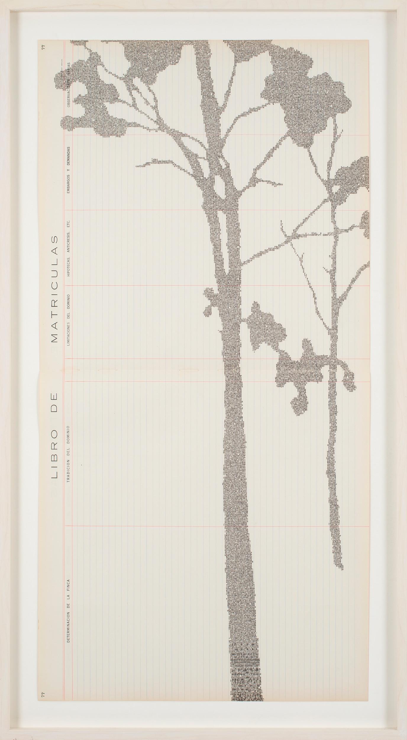 Erial 1 - Johanna Calle 