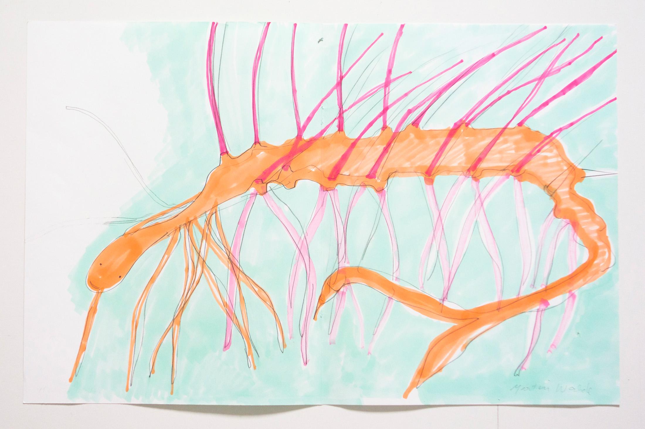 Hallucigenia / smiling - Martin Walde 