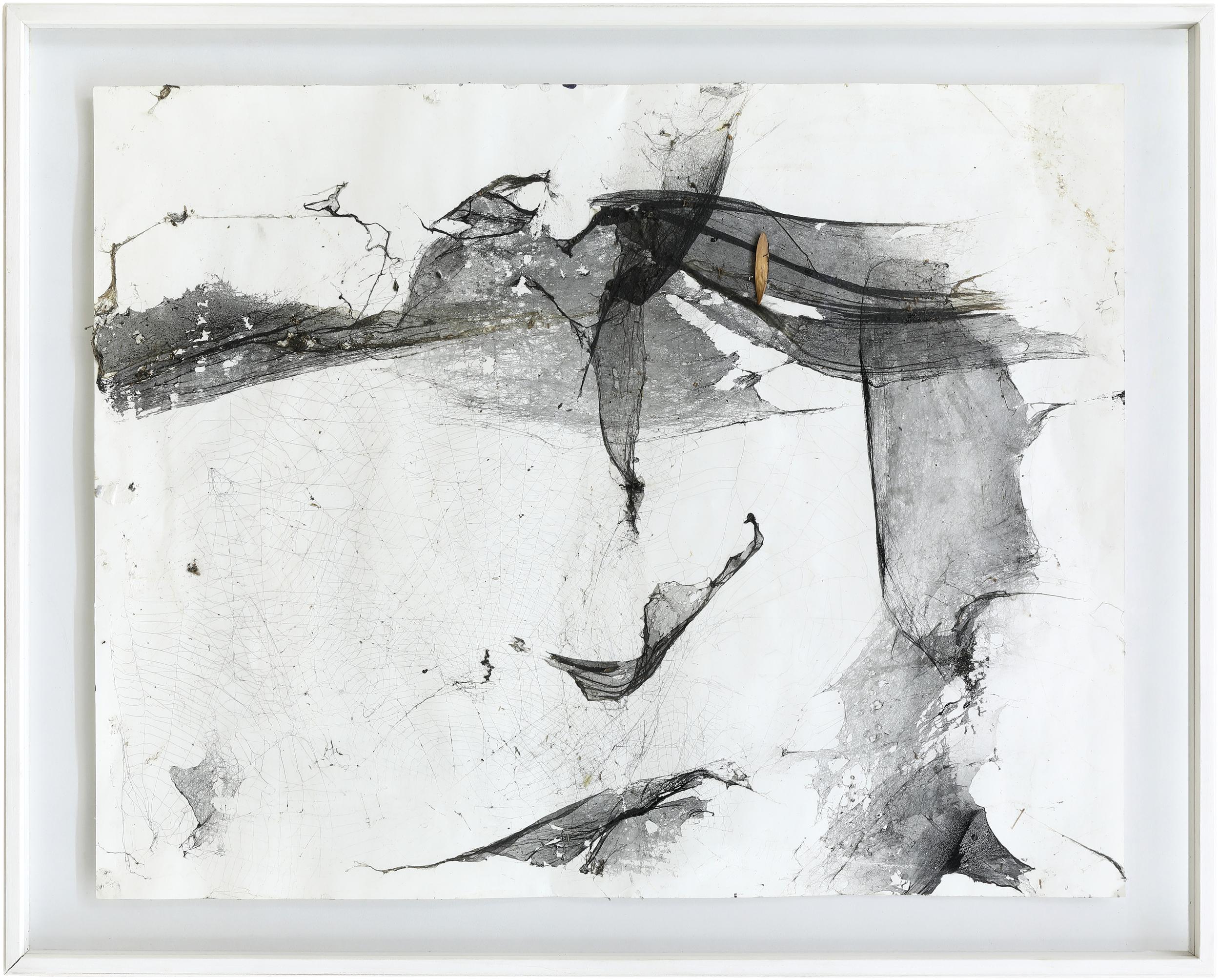 Ohne Titel (aus der Serie Spinnwebenbilder) - Christian Eisenberger 
