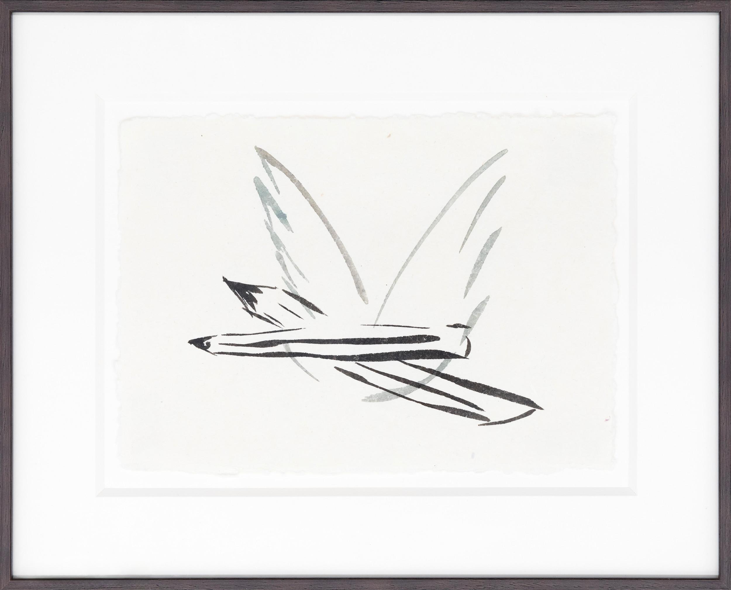 Untitled (ZG D60) - Eva Schlegel 